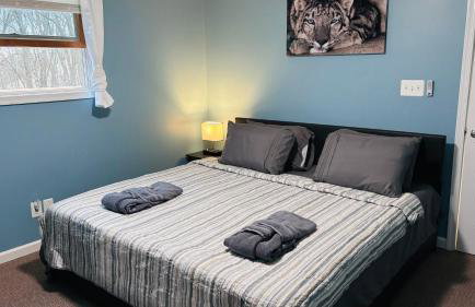 Long pond, Pocono pines quiet & cozy!Kalahari 8mins - Foto 13