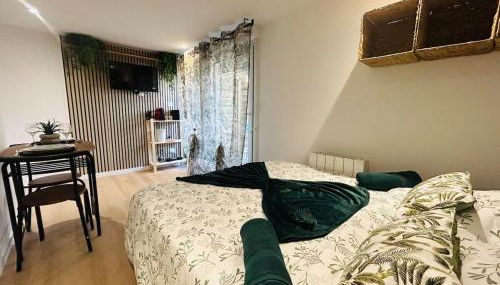 Casa Tropical - Photo 4