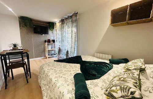 Casa Tropical - Photo 4