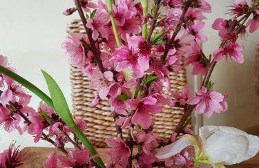 Terre Di Vendicari - Photo 32