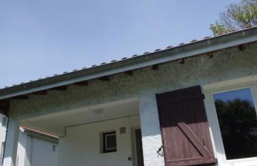 Le chant de l'ègue - Foto 4