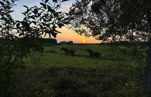 Dom pod Aniołem - Foto 17