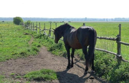 Ferienhaus im Grünen - Foto 2