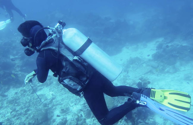 Beginner's Scuba Diving in Bohol - Photo 1