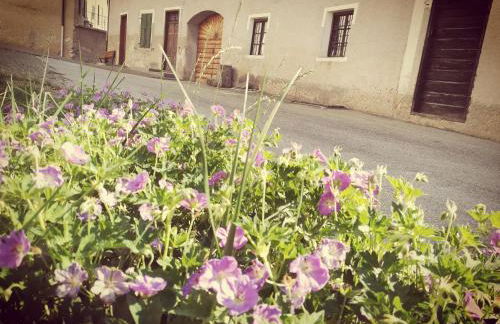 Da Rinota in Alta Val di Non - Photo 10