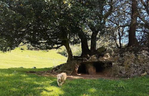 PequeñoCabárceno - Foto 61