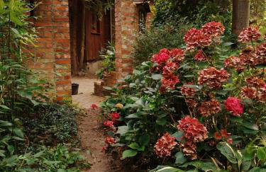 Dziki brzeg Jezioraka - Foto 18