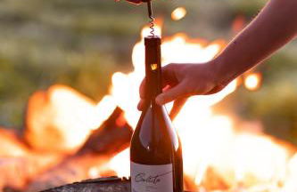 Domaine Paradis - Foto 19