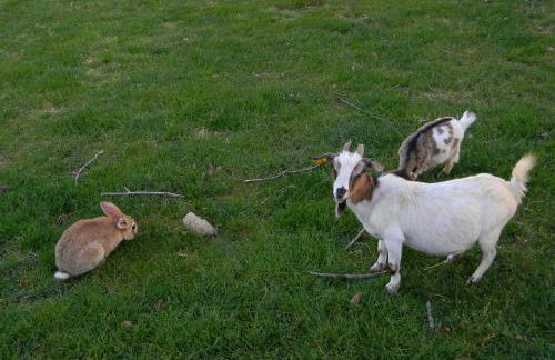 Azienda Agrituristica Colle San Giorgio - Foto 27