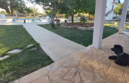 Family-friendly apartments with swimming pool Lozovac, Krka - 18961 - Foto 11