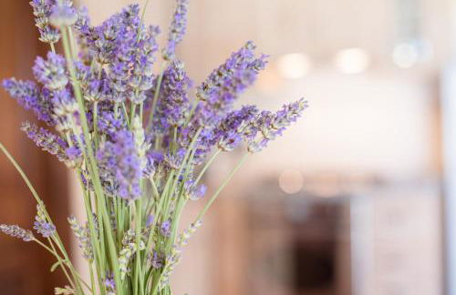 BorgoCuore - Foto 29