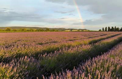 La maison d'à côté - Foto 8