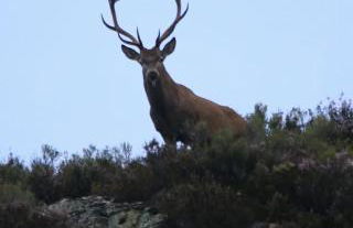 La Vega De Somiedo 2 - Foto 30