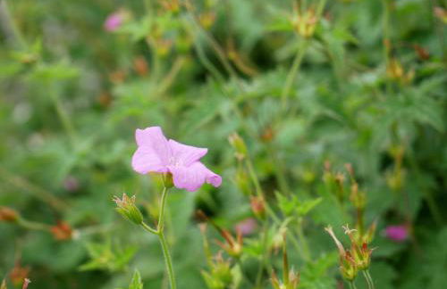 Ferienwohnung Veronika Heilbock - Foto 6