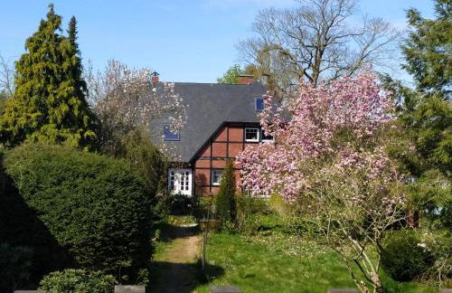 Storchennest Brake - Foto 1