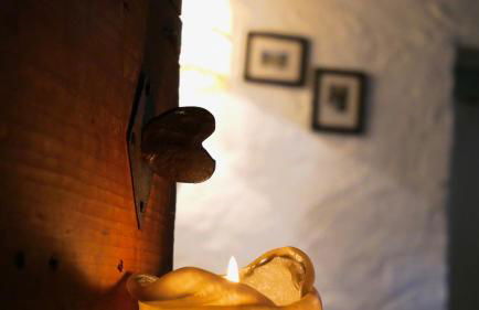 Angie&zii - Photo 49