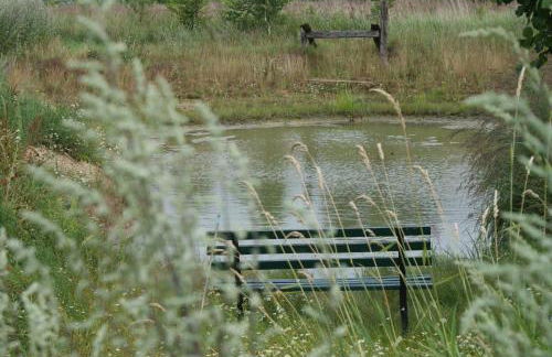 Ferienhaus Raabe - Foto 9