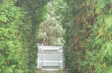 Błękitny Domek - Tleń - Bory Tucholskie - Foto 5