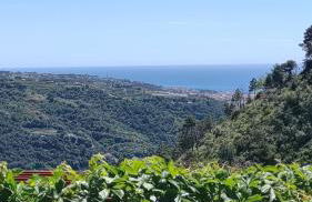 Bungalow Sixdays 3 - Photo 44