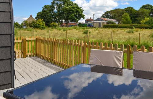 Hawthorn - Uk47620 - Foto 13