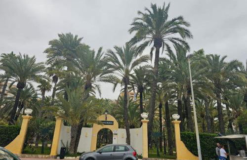 First line sea apartments - Foto 25