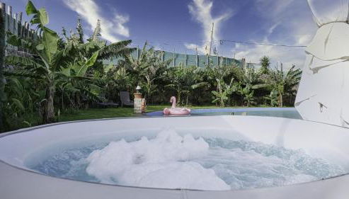 Villa Canaria Luna - Large saltwater pool - Photo 5