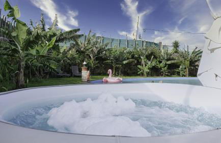 Villa Canaria Luna - Large saltwater pool - Foto 5