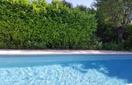 Rêve de Provence Villa avec jardin et piscine - Foto 30