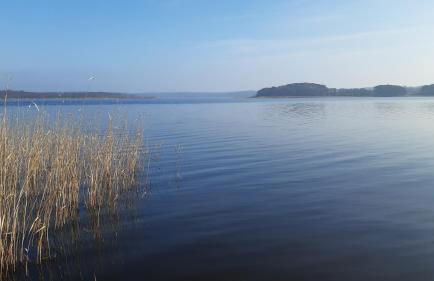 Christianshof Insel Usedom - Foto 4