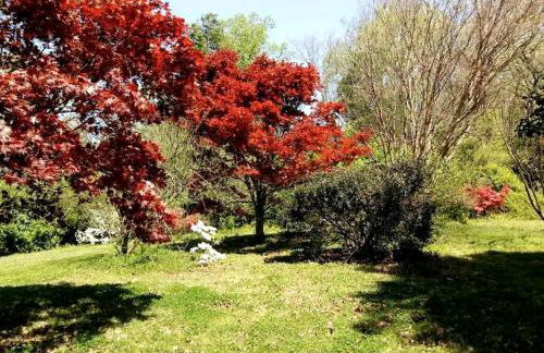 Romantic Suite Rental with Terrace and Chimenea near Gatlinburg, Tennessee - Foto 18