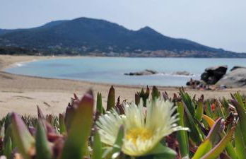 Résidences Sopramare - Foto 112