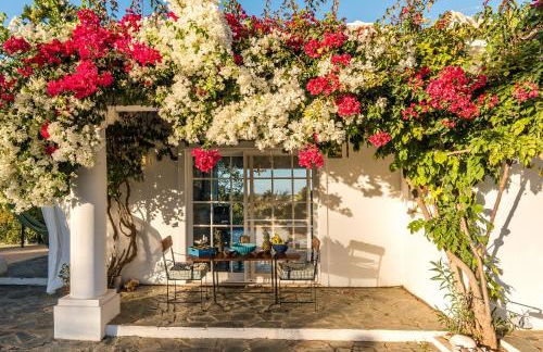 Fazenda do Sul - Foto 8