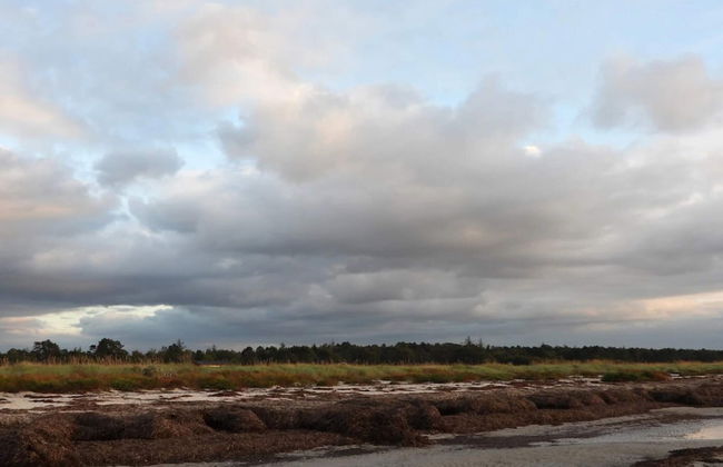 6 Person Holiday Home in Vig - Foto 14