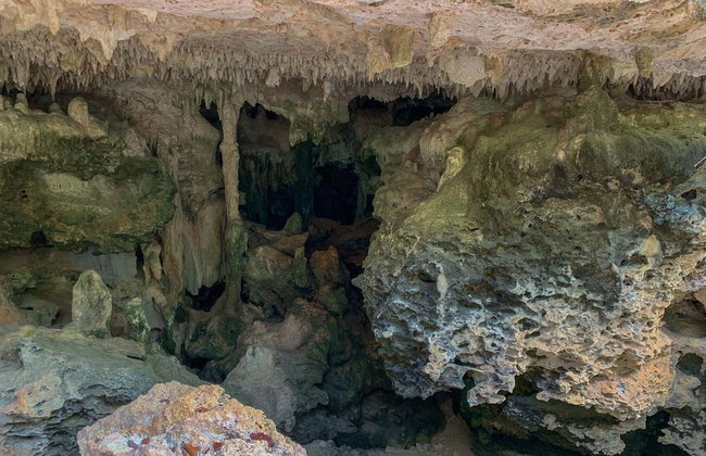 Visite des grottes de Bonaire avec snorkeling - Photo 5