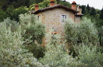 Le Lappe - Foto 46