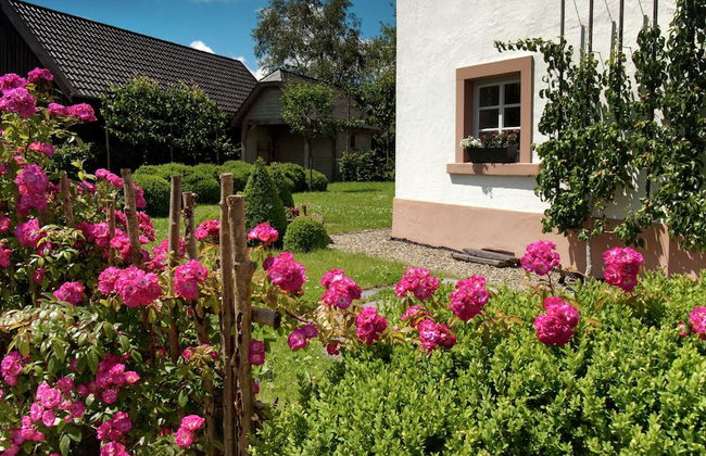 Holiday Home in Bullange With Sauna - Foto 29