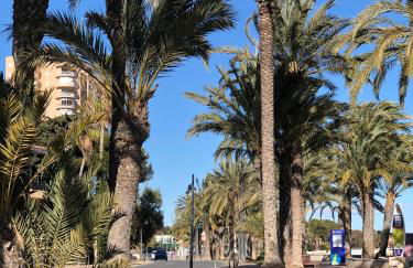 Jardin Alhambra Holiday Apartment - Foto 21