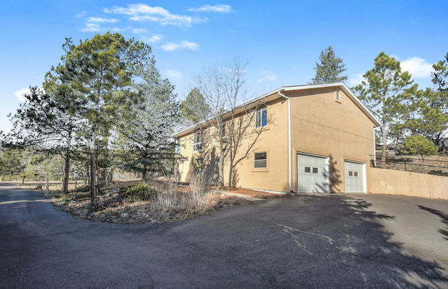 Thunderbird - Foto 50