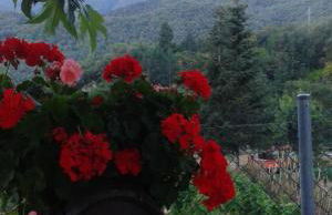 Apartamento en pleno Montseny Mas Romeu Turisme Rural - Foto 37