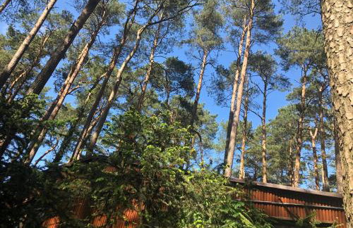 Rudno 48 Domek Letniskowy - Foto 32