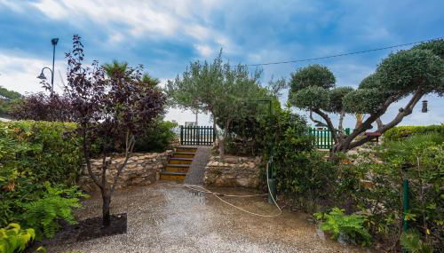 Calipso Tamarit - Foto 4