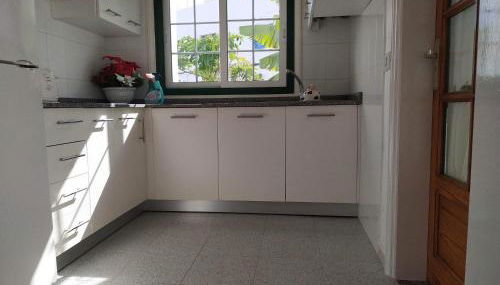 Caracola azul - Foto 3, Other