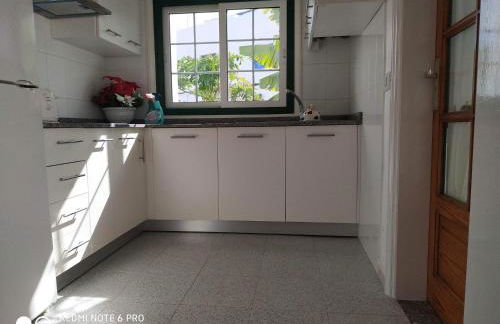 Caracola azul - Foto 3