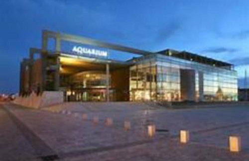 L'Alizé sera votre petit coin de paradis - Foto 26