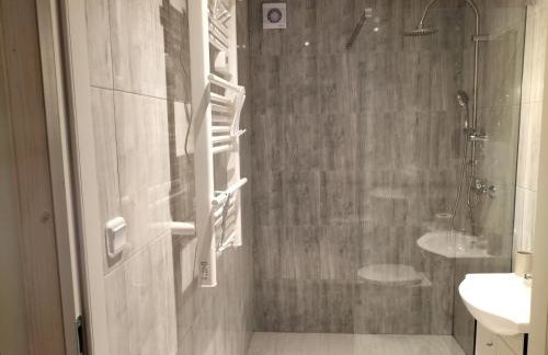 Domek całoroczny Pod Bieszczadzkim Aniołem - Foto 29