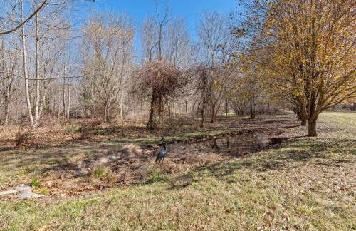 Serenity Views Retreat - Close to City and Parkway! - Foto 47