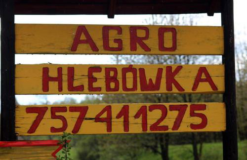 Hlebówka siedlisko w Sudetach - Foto 46