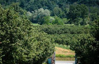 Cà d'Rita Monferrato - Chardonnay idromassaggio e piscina esterni - Foto 41