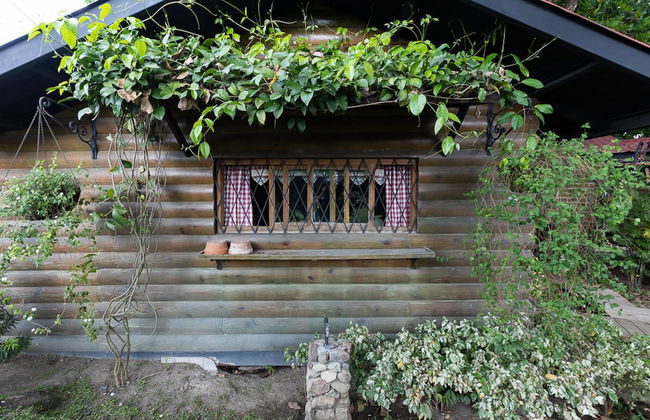 Quinta Pavo Real Complex by Acomodo - Foto 42