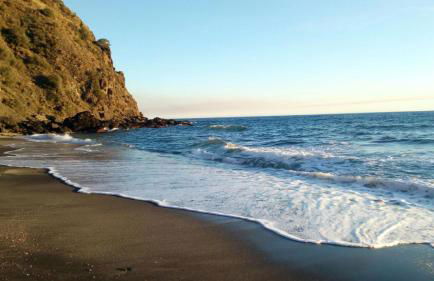 Tropical Studio - Foto 57